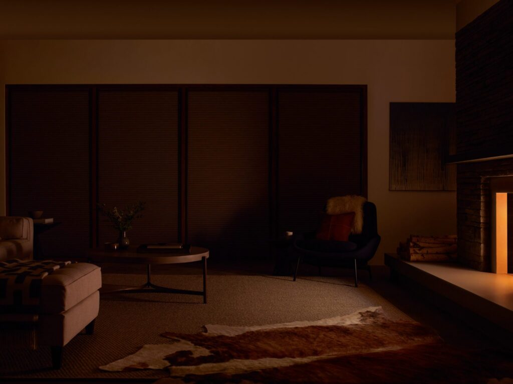 Duette® Honeycomb Shades with the LightLock® system closed to darken a living room