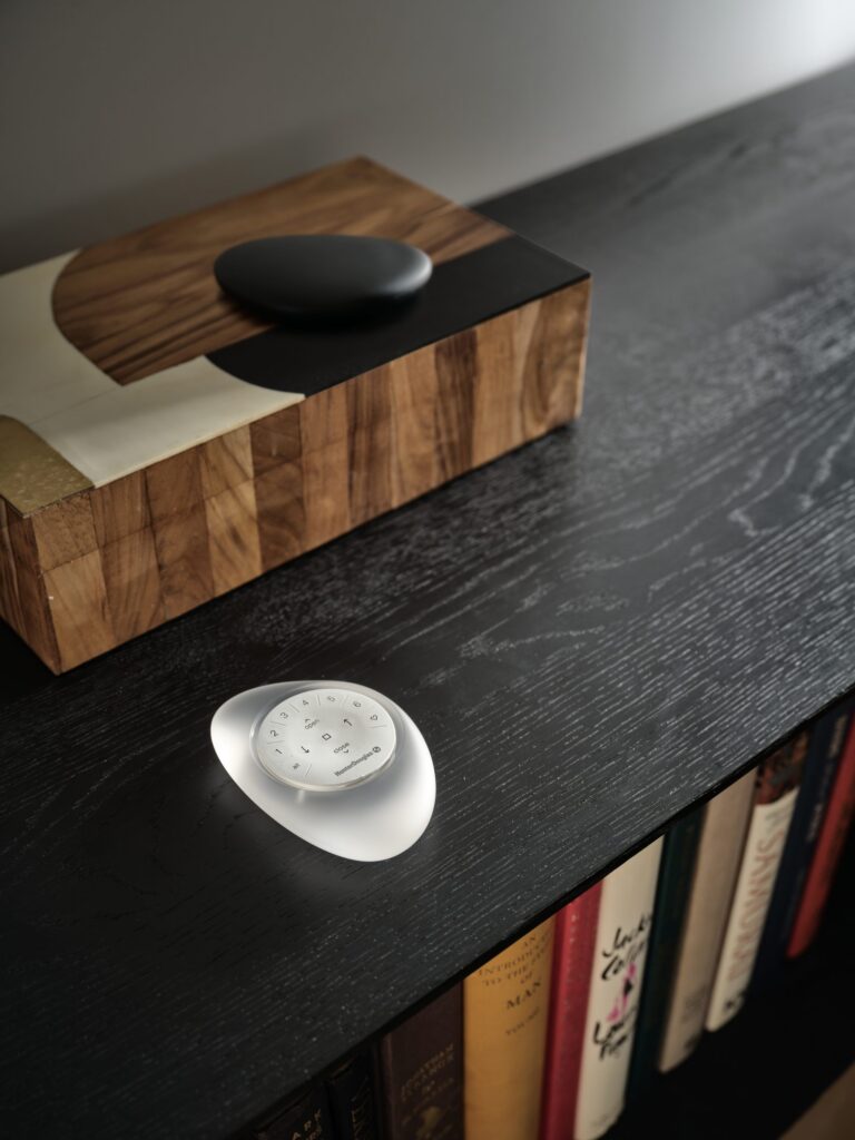 PowerView® Pebble® Remote in a clear finish on a dark wood bookshelf